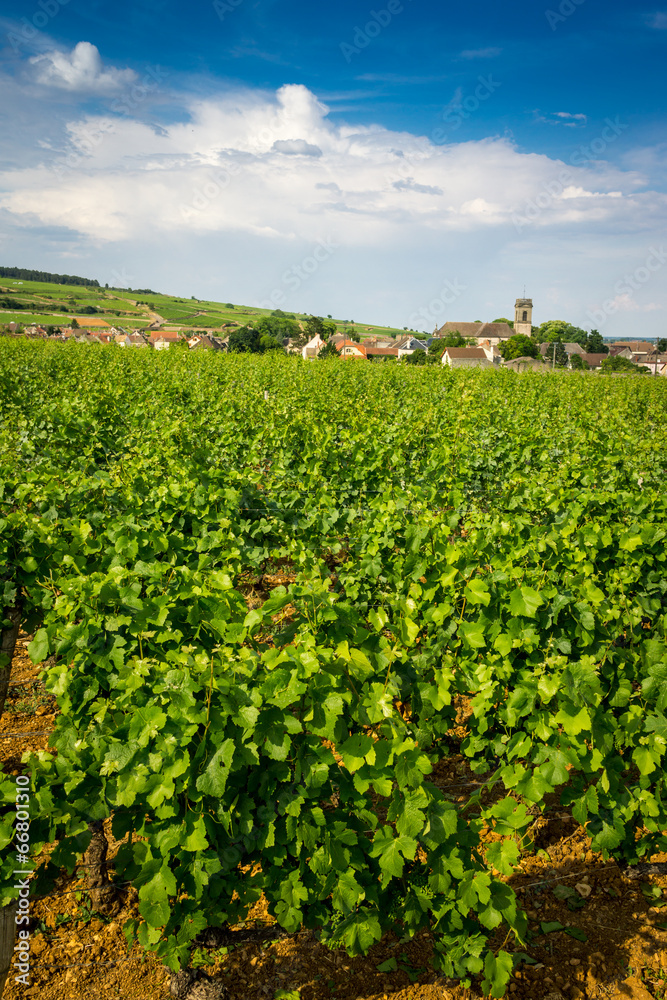 Village viticole de Bourgogne