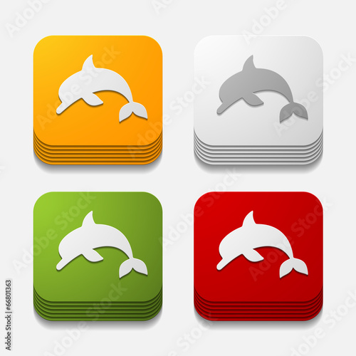 square button: dolphin