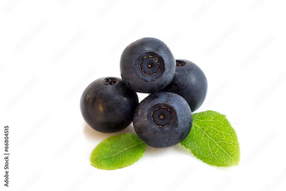 Bunch of blueberry berries isolated with leaves Bunch of blueberry berries isolated with leaves