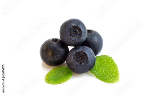 Bunch of blueberry berries isolated with leaves