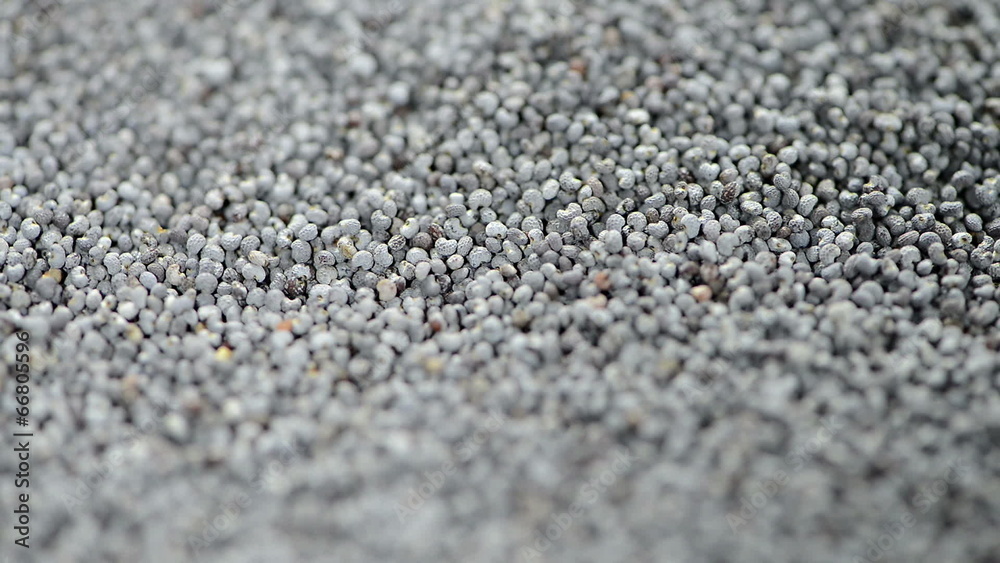 Poppyseed background video (loopable) Poppyseed background video (loopable)