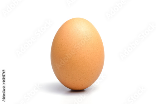 chicken egg close up on isolated background