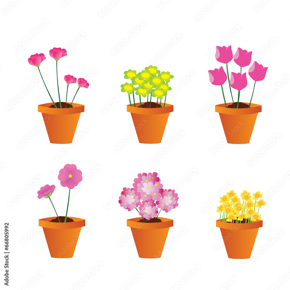 Vasos com flores