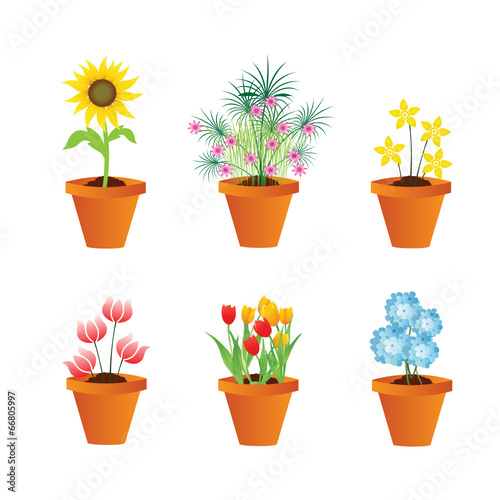 Vasos com flores