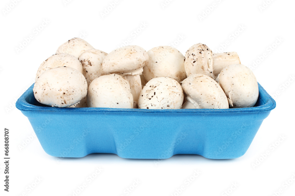 mushrooms mushrooms