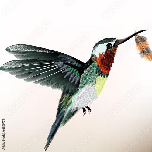 Background with colorful hummingbird