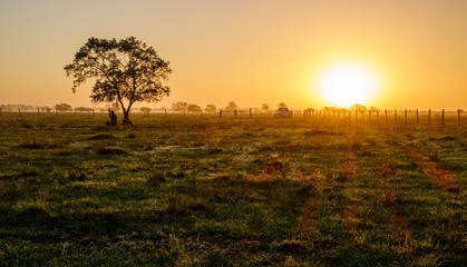 Papier peint photo Chasser Chasseur sous les rayons du soleil  © ajamils