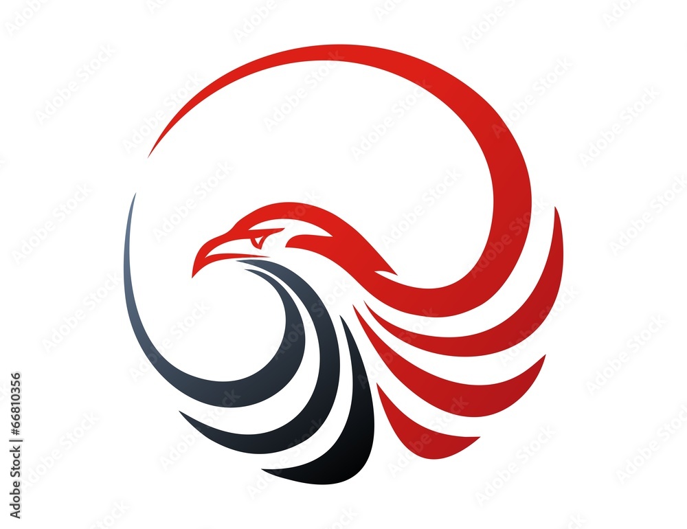 Fototapeta premium logo jastrzębia, ptak, symbol orła, ikona nowoczesnego biznesu mediów