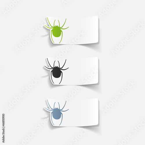 realistic design element: spider
