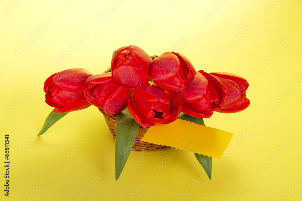 Fototapeta premium Bouquet of red tulips in a basket and card