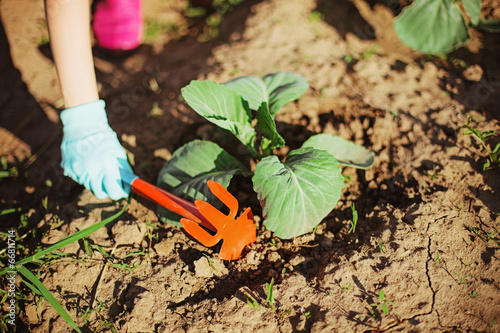 Gardening.