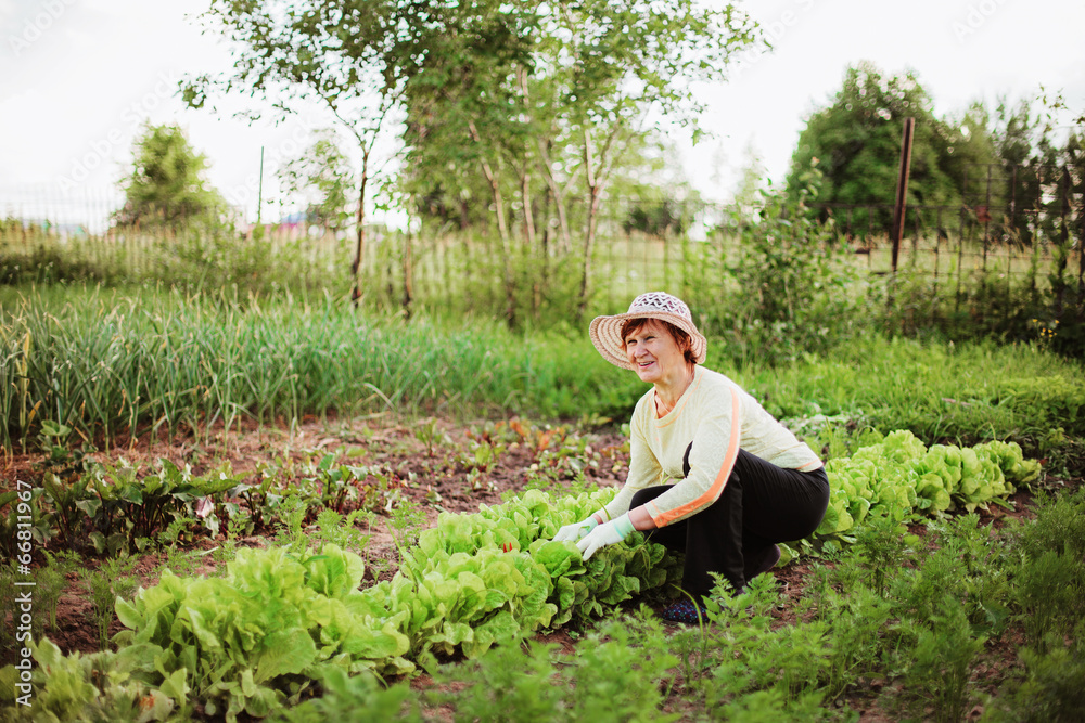 Gardener. Gardener.