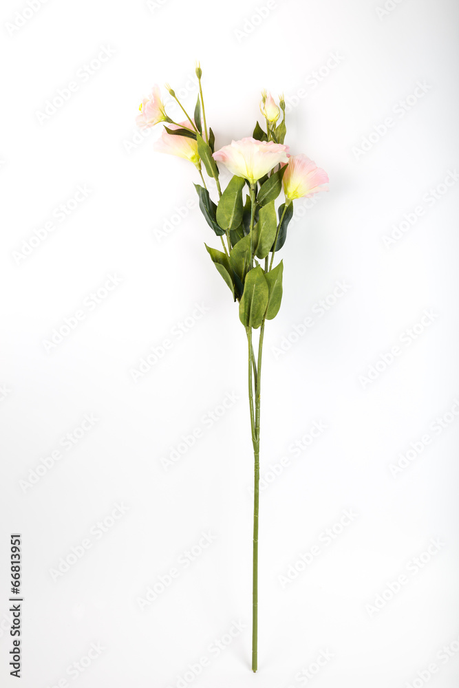 Beautiful artificial flower
