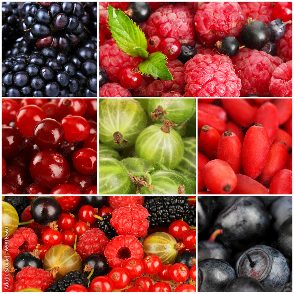 Collage of berries close-up Collage of berries close-up