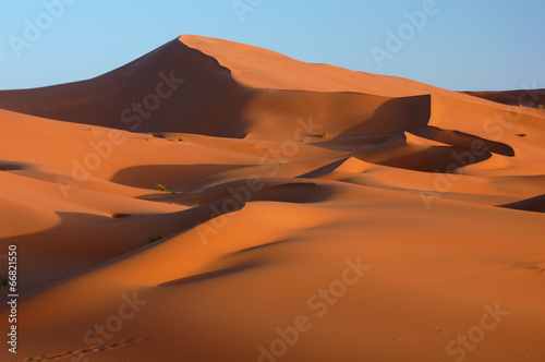 Sahara Desert © Vladimir Wrangel