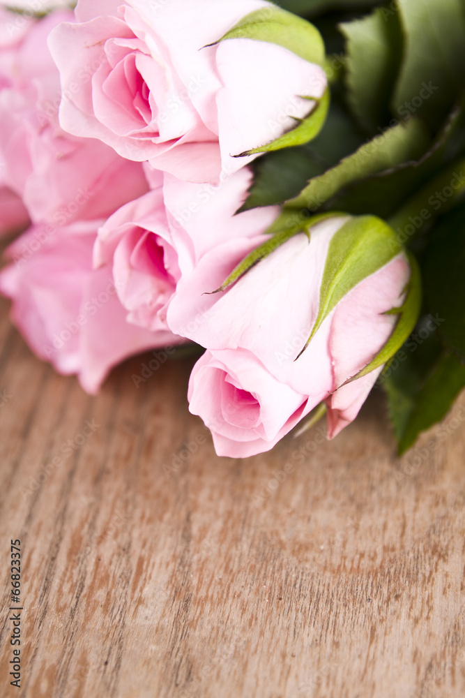 pink roses on wooden background