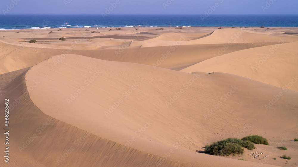 Abendlicht in den Dünen von Maspalomas auf Gran Canaria