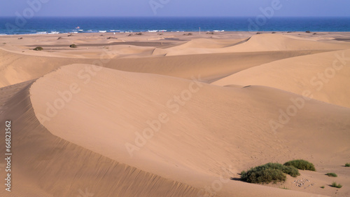 Abendlicht in den D  nen von Maspalomas auf Gran Canaria