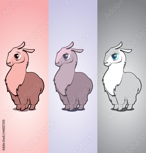 llama
