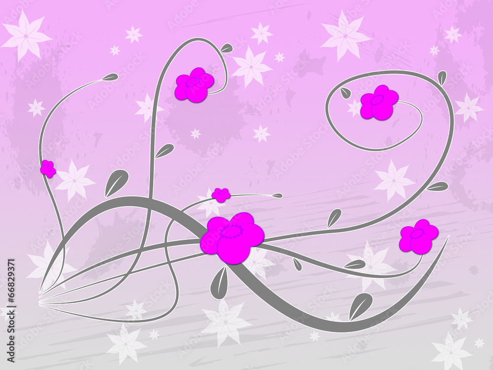Pink Floral Indicates Abstract Backdrop And Blooming
