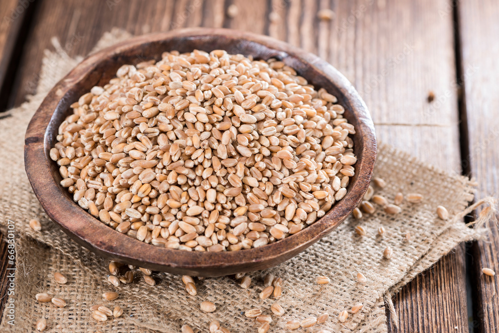 Wheat Grains Wheat Grains