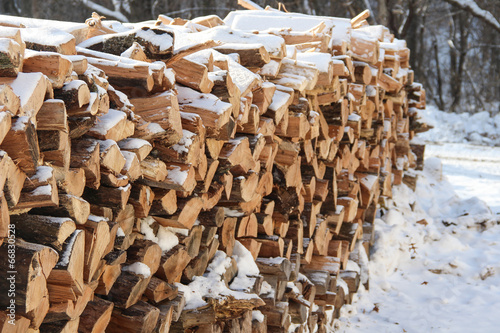 Wood Pile in Winter