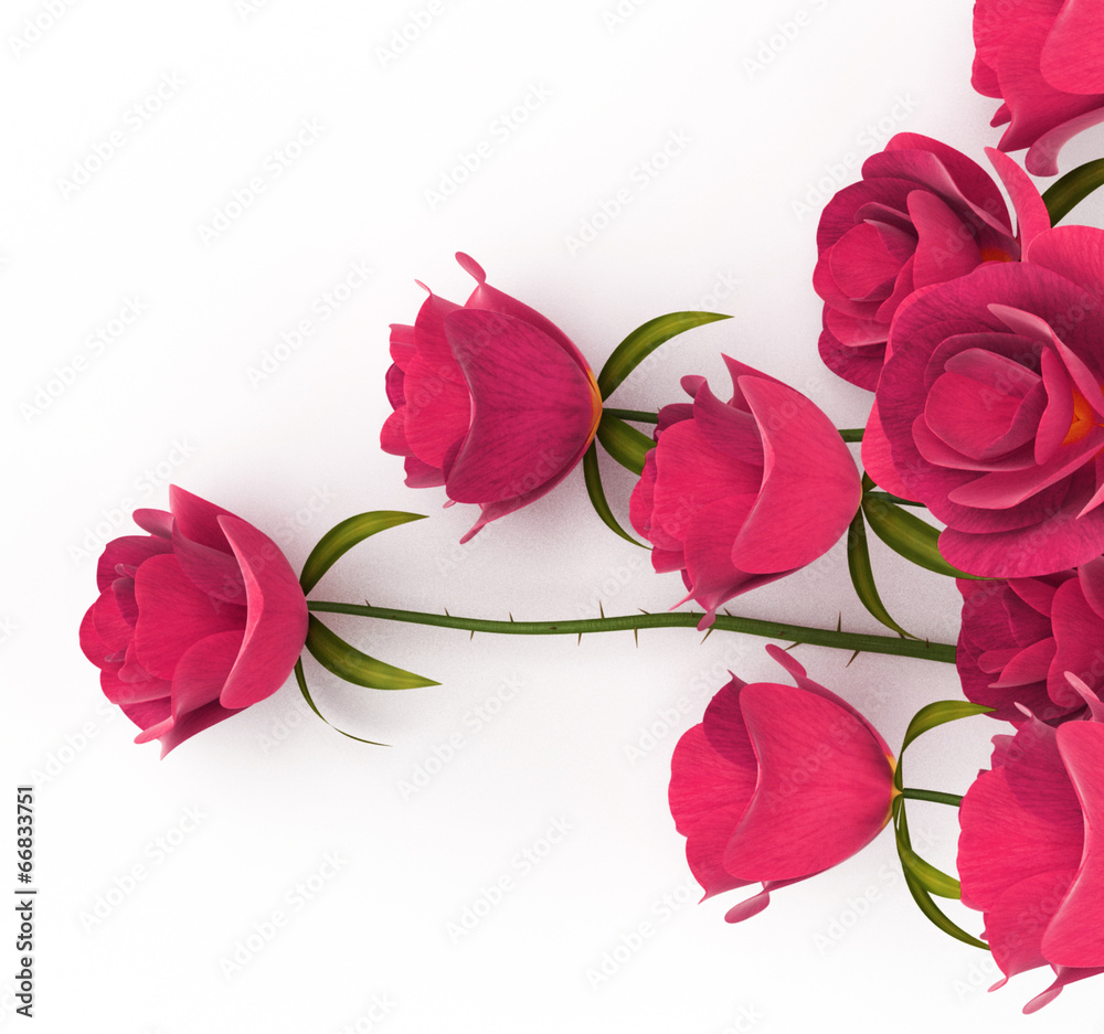 Fototapeta premium Love Roses Represents Passion Romance And Dating