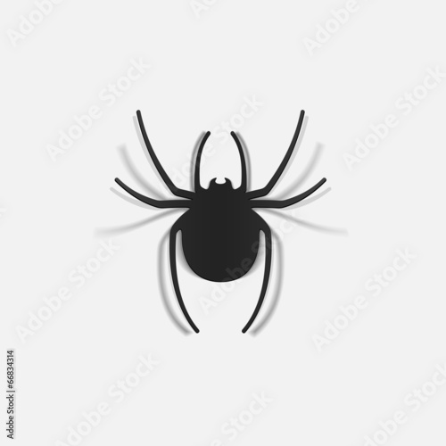 realistic design element: spider