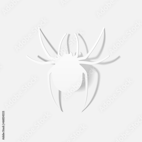 realistic design element: spider