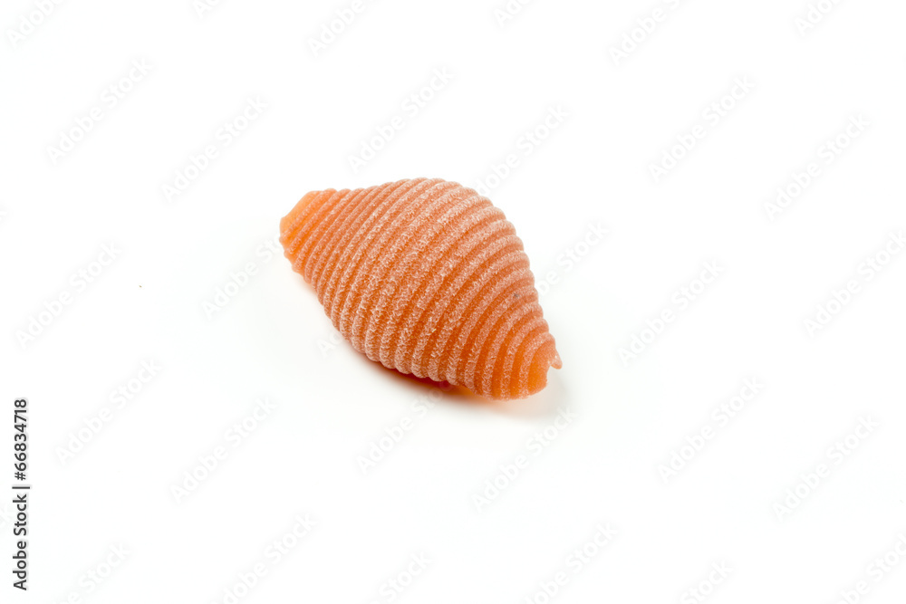 Uncooked Italian conchiglie pasta on a white background Uncooked Italian conchiglie pasta on a white background