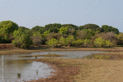 Safai in the Yala Nationalpark
