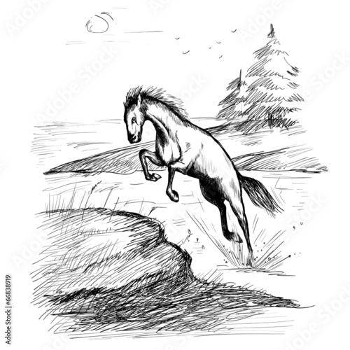 horse