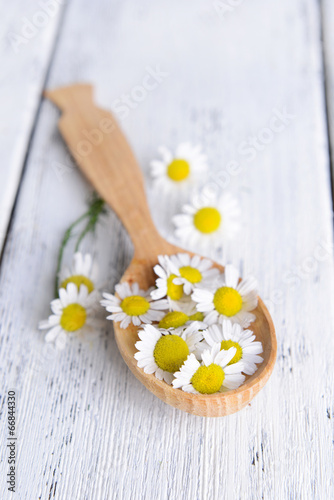 Camomile in wooden spoon on table close-up