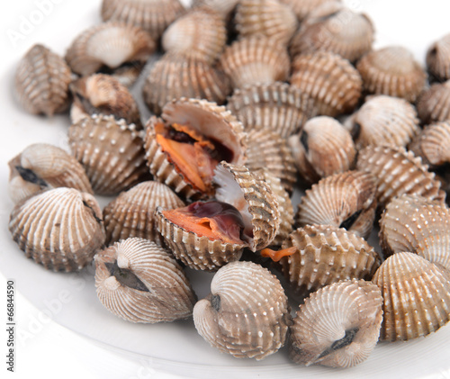 blood cockle cooked