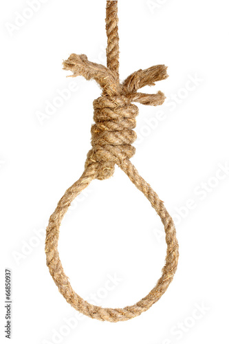 Rope noose on white