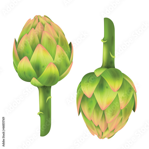 Artichoke