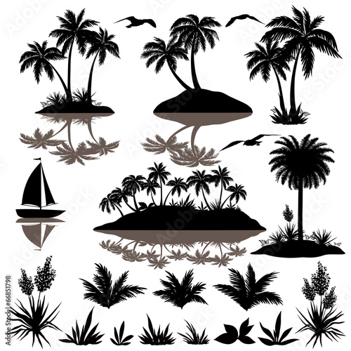 Tropical set with palms silhouettes #66851798