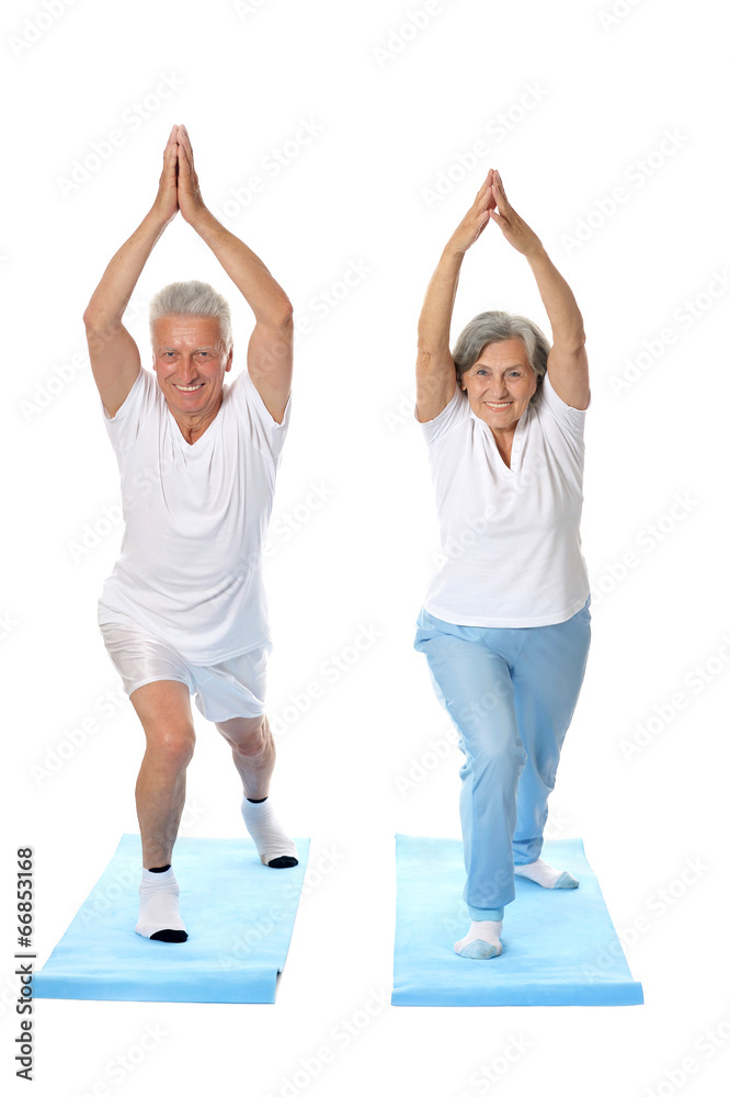 Naklejka premium Portrait of Elder Couple