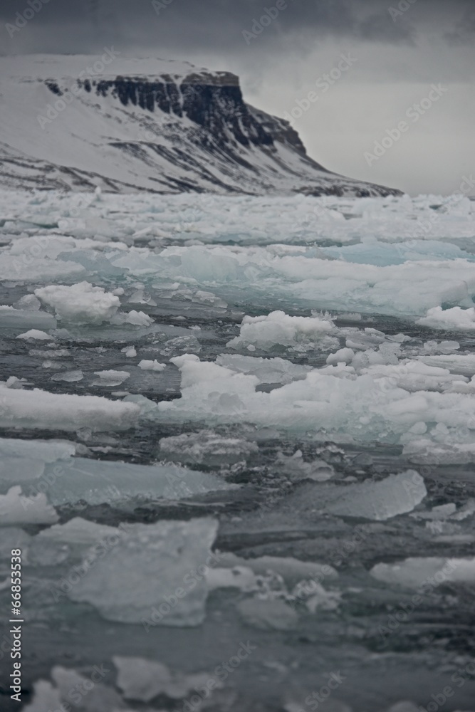Pack ice with snowy headland in distance Pack ice with snowy headland in distance