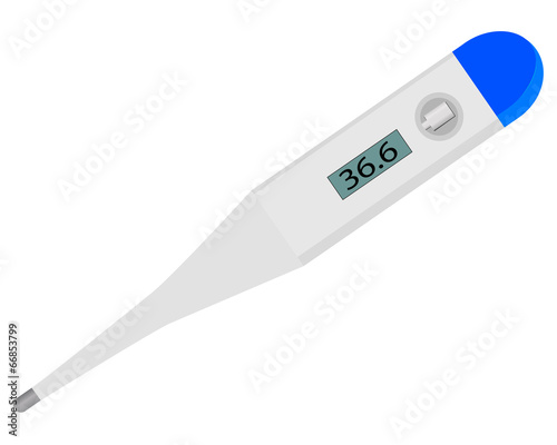 electronic digital thermometer