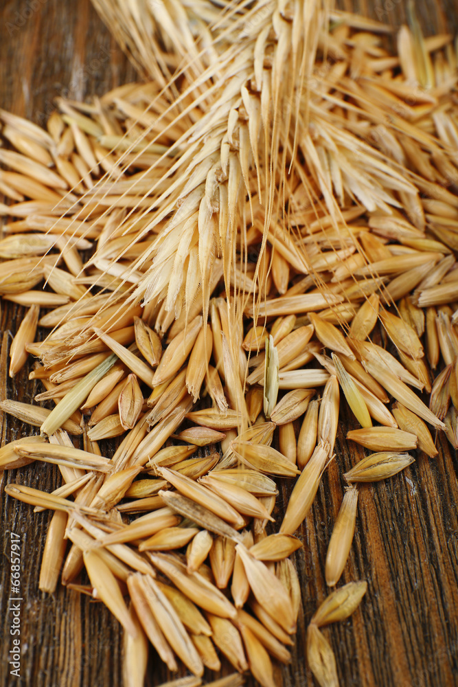 Rye grains and ears on table, close-up Rye grains and ears on table, close-up