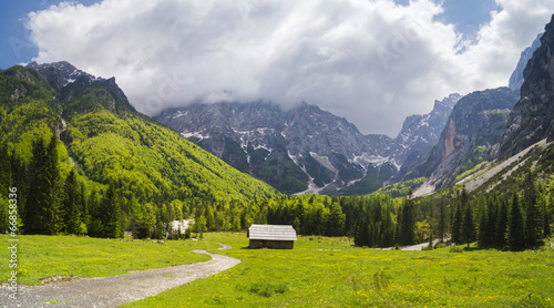 Alpine valley in the fog, Slovenia