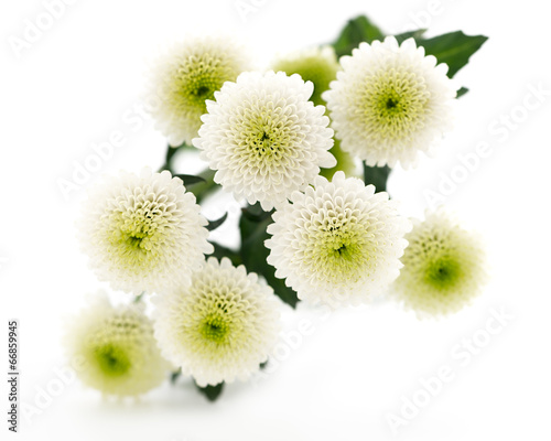 Bouquet of beautiful chrysanthemums on white background