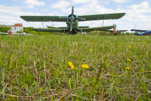 Airplane on dandelion field
