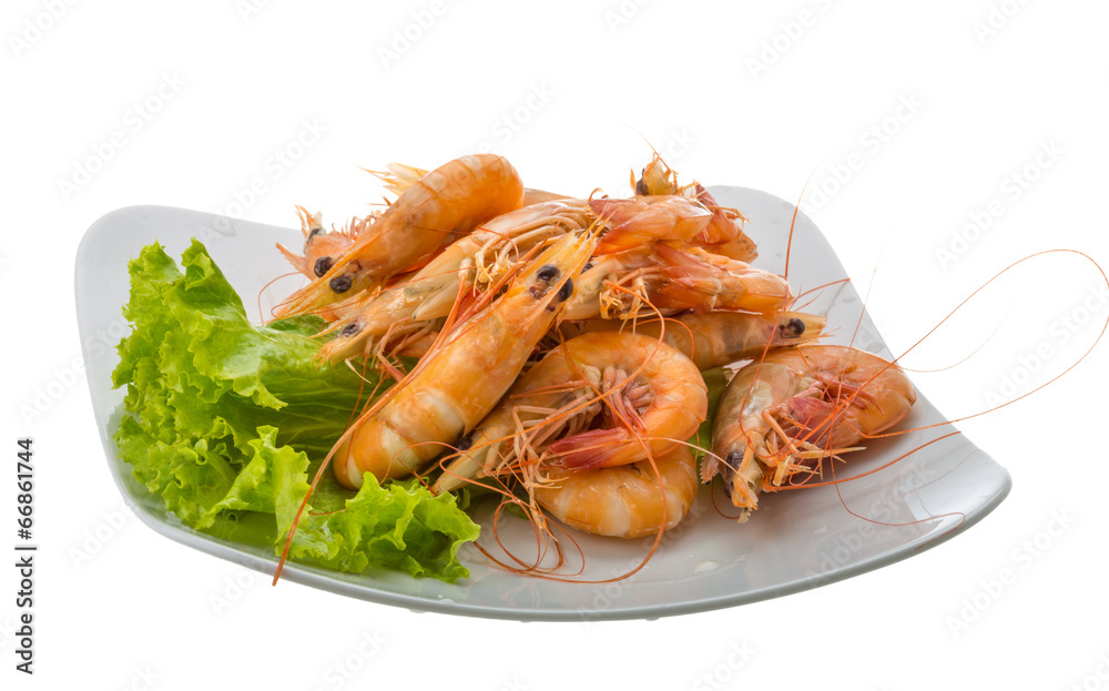 Big tiger shrimps