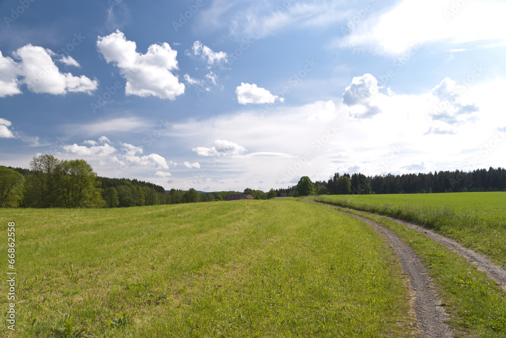 Landscape in Upper Palatinate, Germany