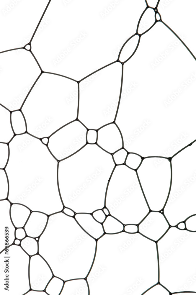 Lattice Lattice