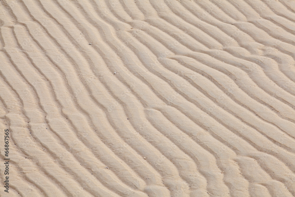 Sand Texture Sand Texture