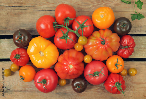tomatoes © Foxy_A