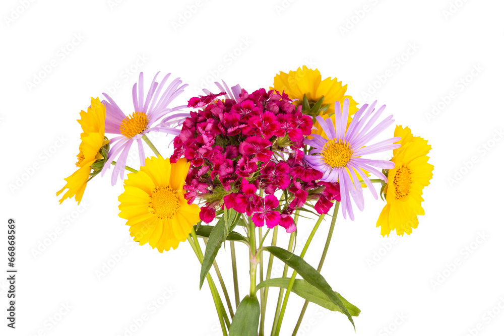 summer bouquet on white background